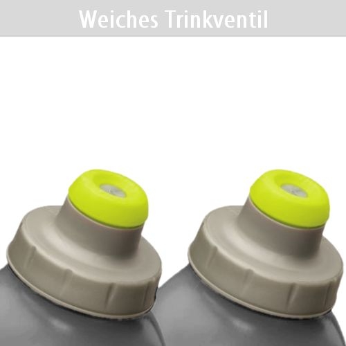 NATHAN Push Pull Cap Flasks Flaschen | Silver | 10 oz - Bild 1