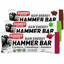 HAMMER NUTRITION Raw Energy Bar Testpaket | BIO DE-KO-006