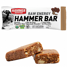HAMMER NUTRITION Raw Energy Bar Testpaket | BIO DE-KO-006