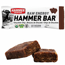 HAMMER NUTRITION Raw Energy Bar Testpaket | BIO DE-KO-006