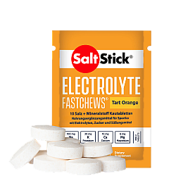 SALT STICK Fastchews |  6 x 10 Kautabletten | | Mit Transportbox
